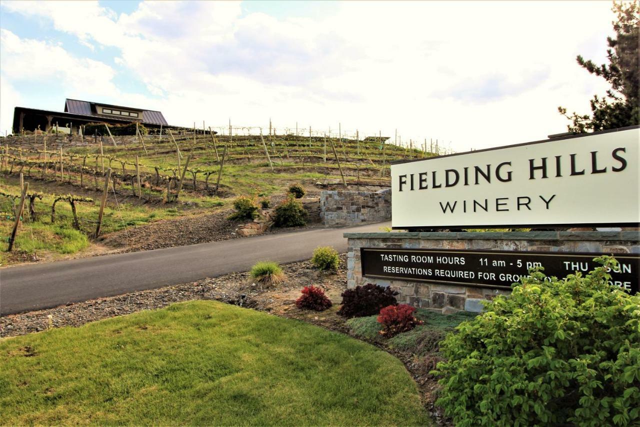 The Vineyards Lodge 奇兰 外观 照片